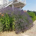 Casa de hóspedes Szivárvány Badacsony *